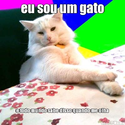 eu sou um gato e todo mundo sabe disso quando me olha