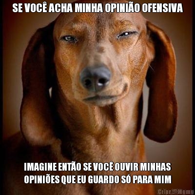 SE VOC ACHA MINHA OPINIO OFENSIVA IMAGINE ENTO SE VOC OUVIR MINHAS
OPINIES QUE EU GUARDO S PARA MIM