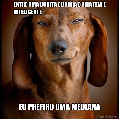 ENTRE UMA BONITA E BURRA E UMA FEIA E
INTELIGENTE EU PREFIRO UMA MEDIANA