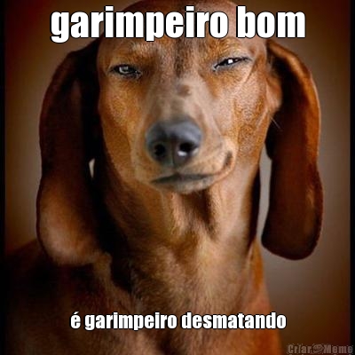 garimpeiro bom  garimpeiro desmatando