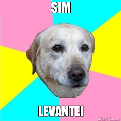 SIM LEVANTEI