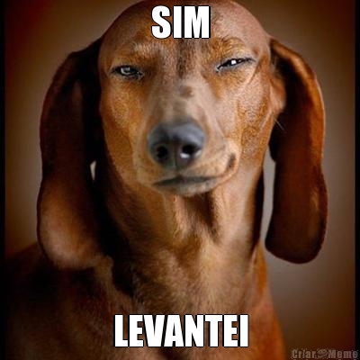 SIM LEVANTEI