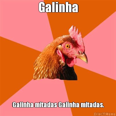 Galinha Galinha mitadas Galinha mitadas.
