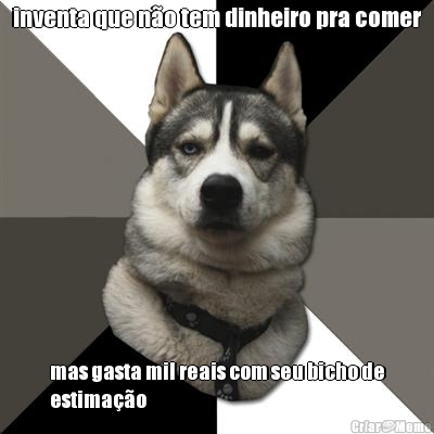 inventa que no tem dinheiro pra comer mas gasta mil reais com seu bicho de
estimao