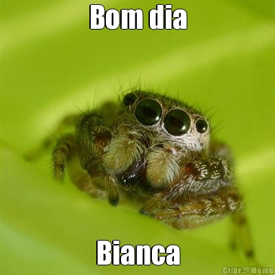 Bom dia Bianca