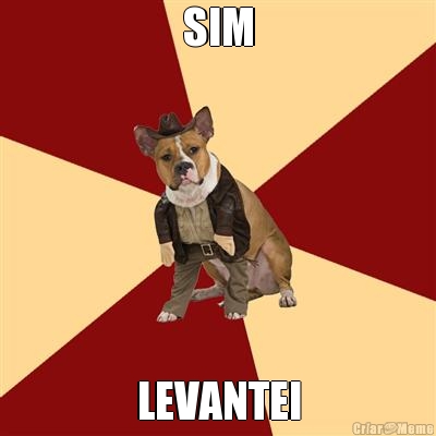 SIM LEVANTEI