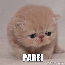  PAREI