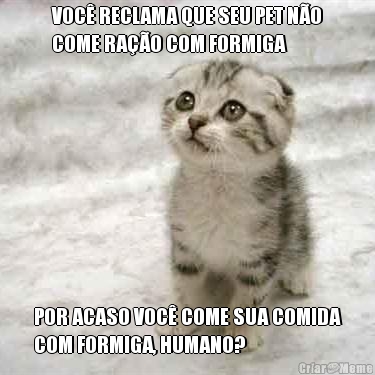 VOC RECLAMA QUE SEU PET NO
COME RAO COM FORMIGA POR ACASO VOC COME SUA COMIDA
COM FORMIGA, HUMANO?