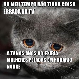 NO MEU TEMPO NO TINHA COISA
ERRADA NA TV A TV NOS ANOS 80: EXIBIA
MULHERES PELADAS EM HORARIO
NOBRE