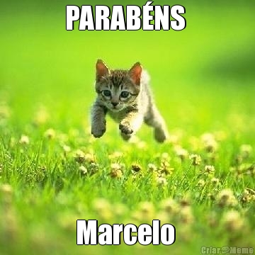 PARABNS  Marcelo 