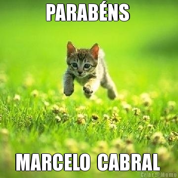 PARABNS  MARCELO  CABRAL 