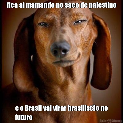 fica a mamando no saco de palestino e o Brasil vai virar brasilisto no
futuro
