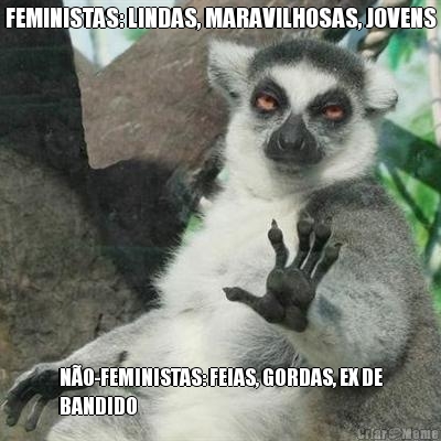 FEMINISTAS: LINDAS, MARAVILHOSAS, JOVENS NO-FEMINISTAS: FEIAS, GORDAS, EX DE
BANDIDO
