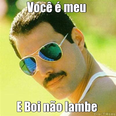 Voc  meu  E Boi no lambe 