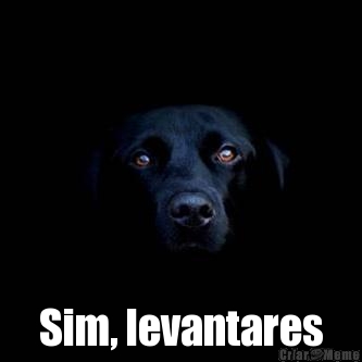  Sim, levantares