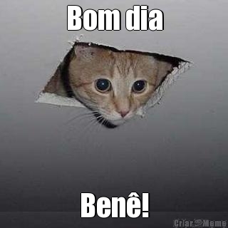 Bom dia Ben!