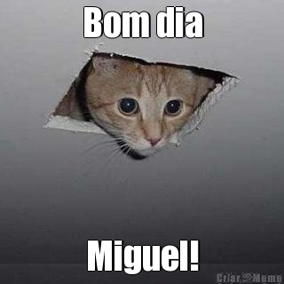 Bom dia Miguel!