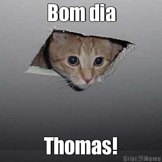 Bom dia Thomas!