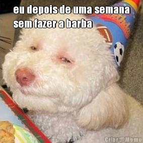 eu depois de uma semana
sem fazer a barba 