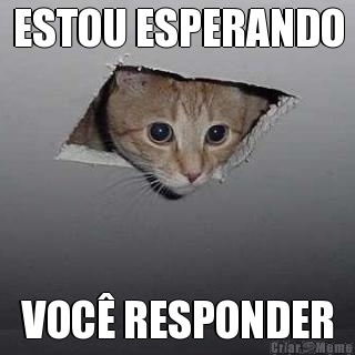 ESTOU ESPERANDO VOC RESPONDER