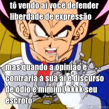 t vendo a voc defender
liberdade de expresso mas quando a opinio 
contrria  sua a  discurso
de dio e mimimi, kkkk seu
escroto