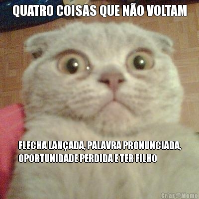 QUATRO COISAS QUE NO VOLTAM FLECHA LANADA, PALAVRA PRONUNCIADA,
OPORTUNIDADE PERDIDA E TER FILHO