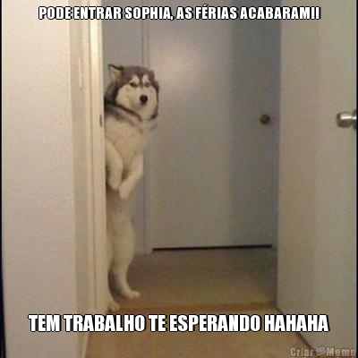 PODE ENTRAR SOPHIA, AS FRIAS ACABARAM!! TEM TRABALHO TE ESPERANDO HAHAHA