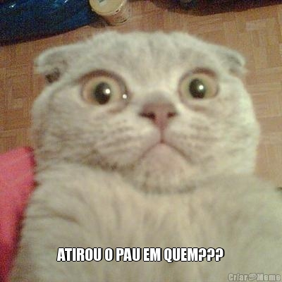  ATIROU O PAU EM QUEM???