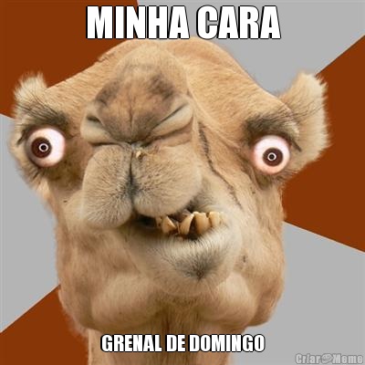 MINHA CARA GRENAL DE DOMINGO
