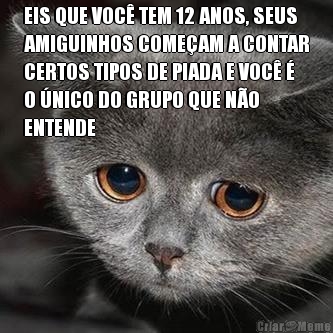 EIS QUE VOC TEM 12 ANOS, SEUS
AMIGUINHOS COMEAM A CONTAR
CERTOS TIPOS DE PIADA E VOC 
O NICO DO GRUPO QUE NO
ENTENDE 