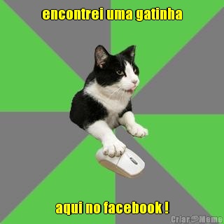 encontrei uma gatinha aqui no facebook !