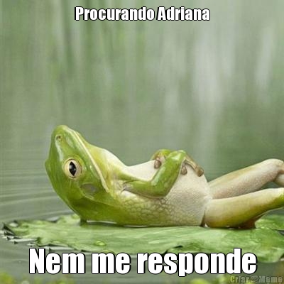 Procurando Adriana Nem me responde