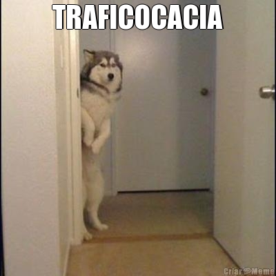 TRAFICOCACIA 