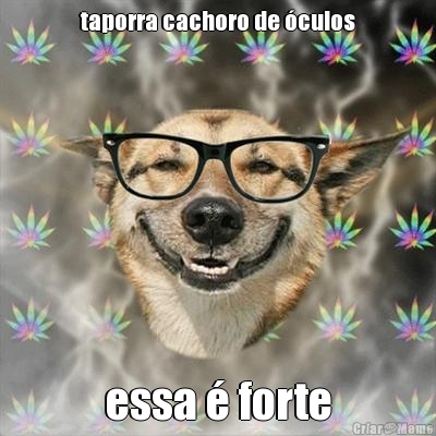 taporra cachoro de culos essa  forte