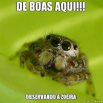 DE BOAS AQUI!!!  OBSERVANDO A ZOEIRA 