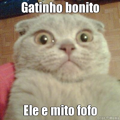 Gatinho bonito
 Ele e mito fofo
