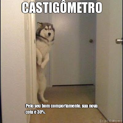 CASTIGMETRO Pelo seu bom comportamento, sua nova
cota  30%.