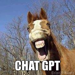  CHAT GPT