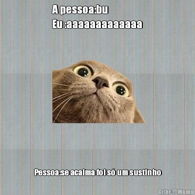 A pessoa:bu
Eu :aaaaaaaaaaaaa Pessoa:se acalma foi s um sustinho
