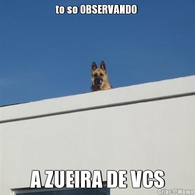 to so OBSERVANDO  A ZUEIRA DE VCS