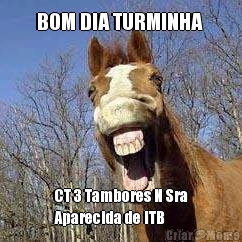 BOM DIA TURMINHA  CT 3 Tambores N Sra
Aparecida de ITB 