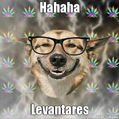 Hahaha Levantares