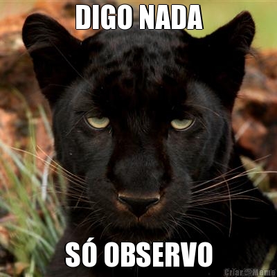 DIGO NADA S OBSERVO