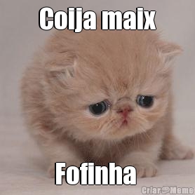 Coija maix Fofinha 