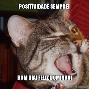 POSITIVIDADE SEMPRE!  BOM DIA! FELIZ DOMINGO!