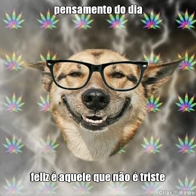 pensamento do dia feliz  aquele que no  triste