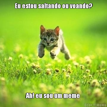 Eu estou saltando ou voando? Ah! eu sou um meme 
