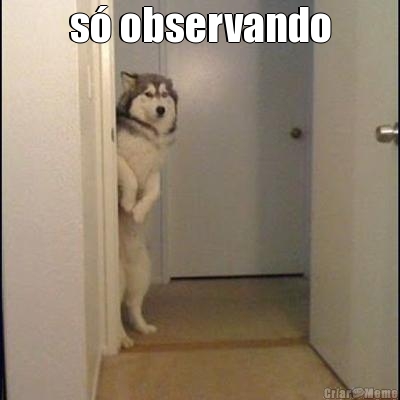 s observando 