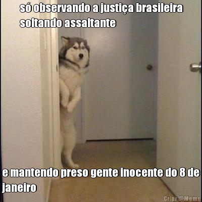 s observando a justia brasileira
soltando assaltante e mantendo preso gente inocente do 8 de
janeiro