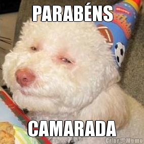 PARABNS CAMARADA